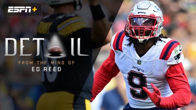 Ed Reed: Breaking Down the New England Patriots Defense