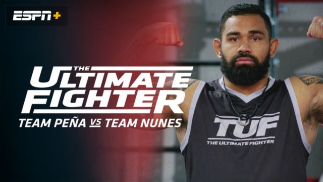 The Ultimate Fighter Brasil Season 2 Air Dates & Co