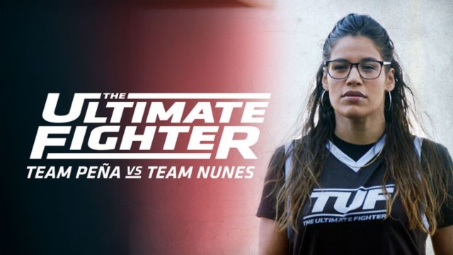 Stream the ultimate fighter online free hot sale