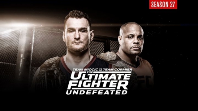 Watch series the ultimate on sale fighter