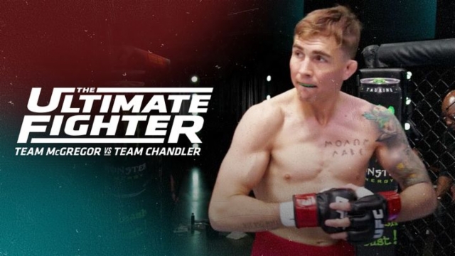 Watch ufc ultimate fighter online online free