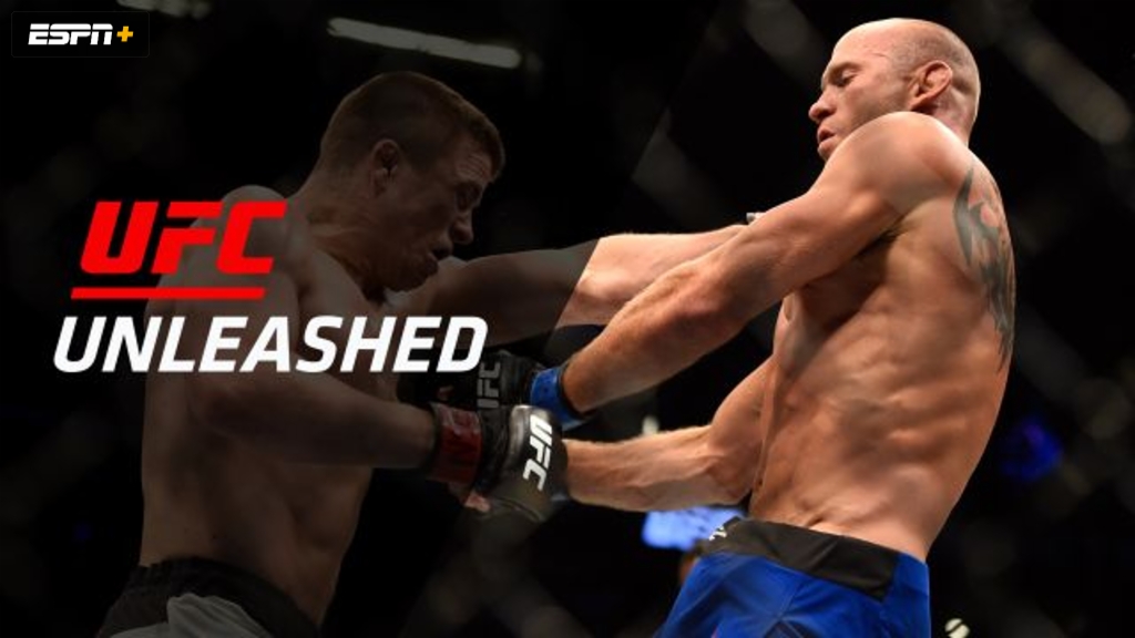 Cerrone vs. Story