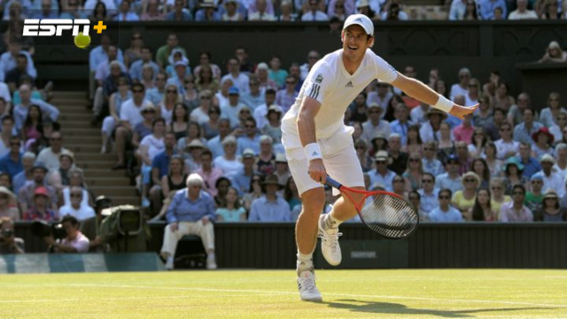 2013 Men's Wimbledon Final