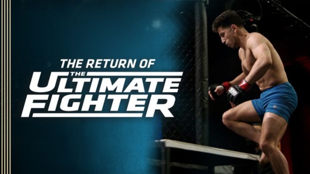 The ultimate fighter online free hot sale