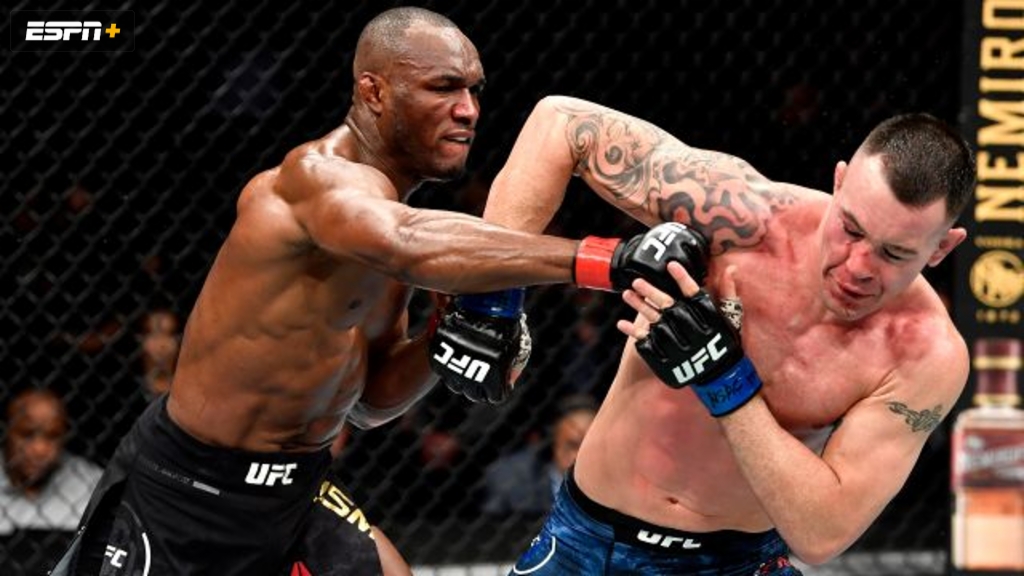 Kamaru Usman vs. Colby Covington (UFC 245)