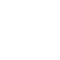 Professional Darts Corporation