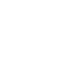UFC 299: O'Malley vs. Vera 2
