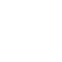 UFC 295: Procházka vs. Pereira