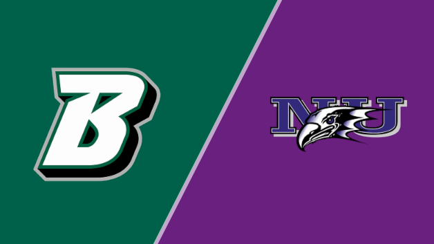 Binghamton Bearcats vs Niagara Purple Eagles 11/8/25 Prediction & Odds - NCAAM betting analysis