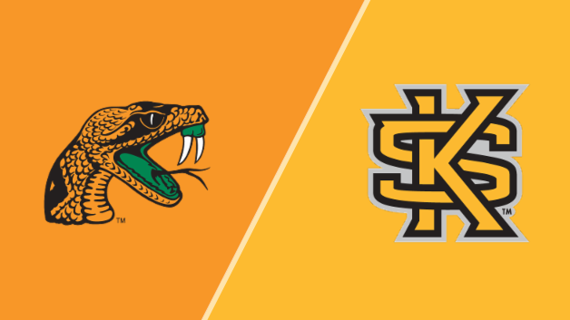 Florida A&M Rattlers vs Kennesaw State Owls 11/8/25 Prediction & Odds - NCAAM betting analysis