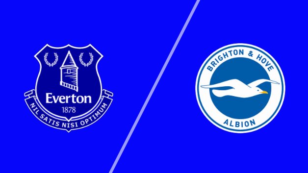 Everton vs Brighton & Hove Albion 8/24/25 Prediction & Odds - EPL betting analysis