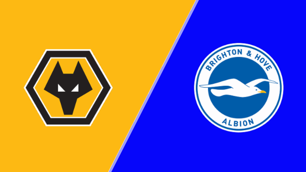 Wolverhampton Wanderers vs Brighton & Hove Albion 10/5/25 Prediction & Odds - EPL betting analysis