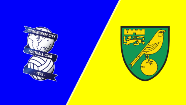Birmingham City vs Norwich City 11/22/25 Prediction & Odds - ELC betting analysis
